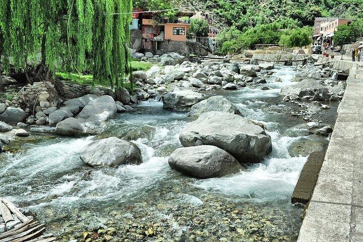 Ourika Valley & Agafay Desert: Atlas Mountains with Camel Ride