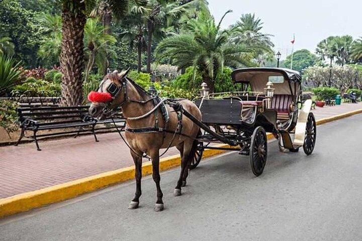 カイロの夜の無料ウォーキング ツアーと魔法の馬車乗車