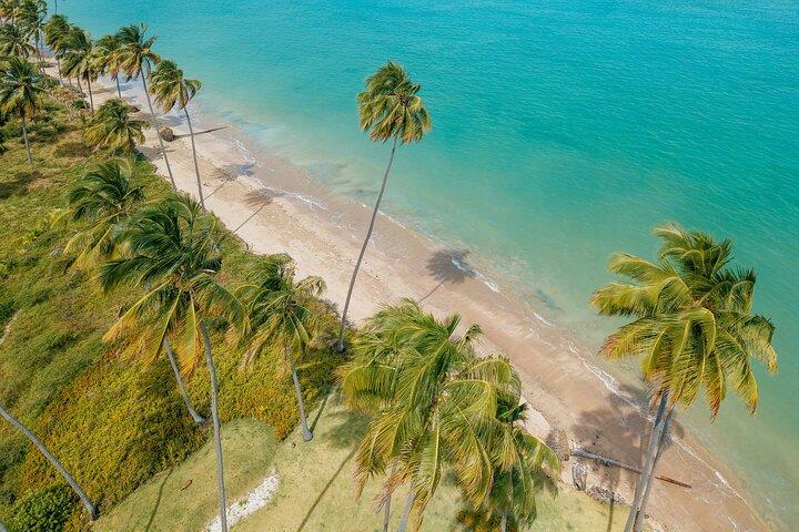 Patacho Beach Tour from Maceió