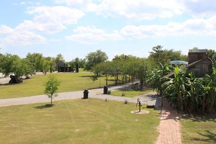 Whitney Plantation Tour con trasporto