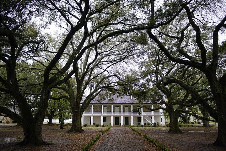 Whitney Plantation Tour con trasporto