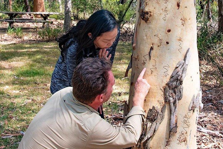Equitazione, koala e canguri - Wild Australia: tour privato