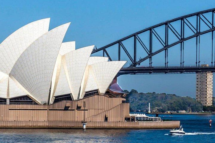 Equitazione, koala e canguri - Wild Australia: tour privato