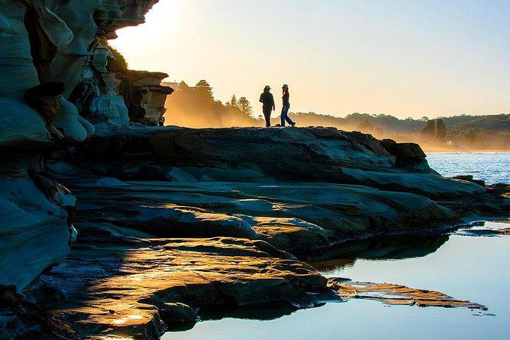 Equitazione, koala e canguri - Wild Australia: tour privato