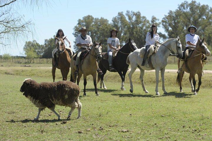 Cabalgatas de día completo con gauchos de Buenos Aires