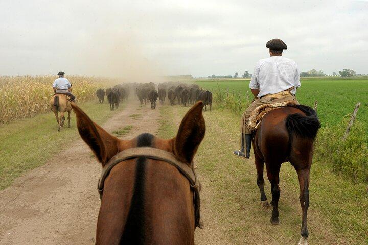 Cabalgatas de día completo con gauchos de Buenos Aires