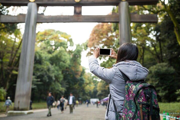 東京プライベートツアー-スペイン語、英語、日本語ガイド
