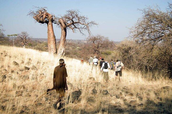 4 dagars Hadza Immersion