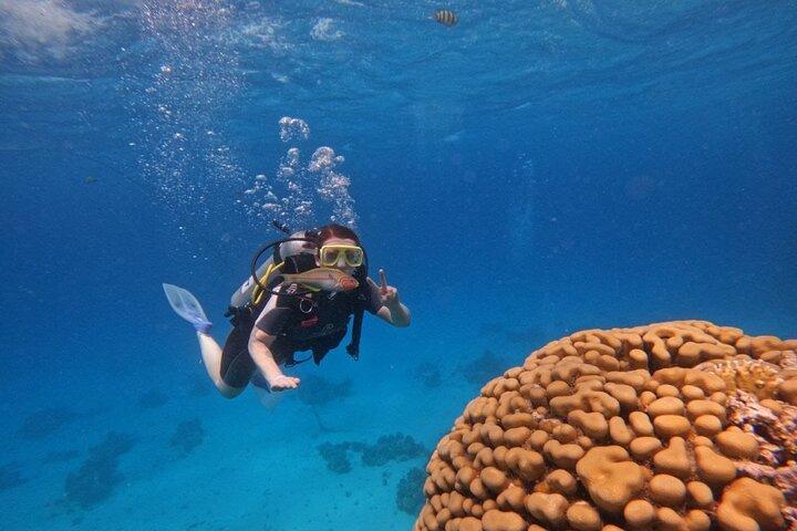 Tauchen in Hurghada _ 2 Stops Tauchen mit Ausrüstung & Mittagessen