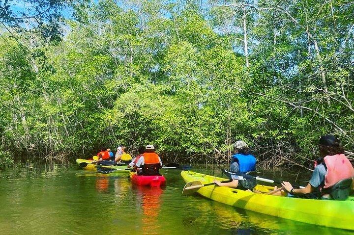 Caiaque no Parque Nacional Tamarindo Mangrove Forest