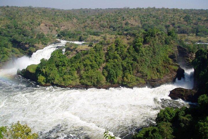 Safari privado de 7 dias em Uganda