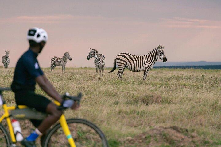 19-Days Private Cycling Expedition from Kenya to Tanzania
