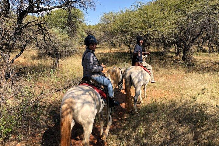 Safari a caballo desde Johannesburgo