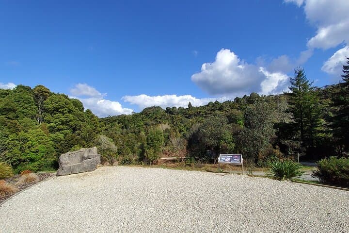 Waitomo Glowworm & Ruakuri Twin Cave Experience - Small Group Tour From Auckland