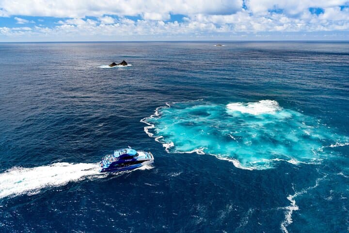 Bay of Islands Explorer Experience Small Group Tour From Auckland
