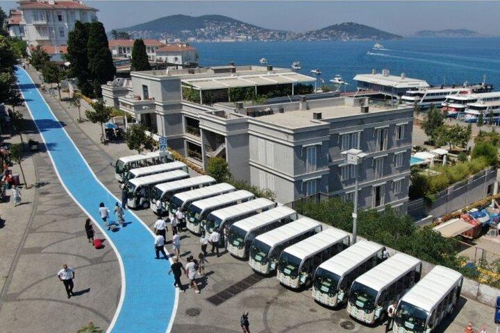 Istanbul Princes' Island Tour Lunch inbegrepen