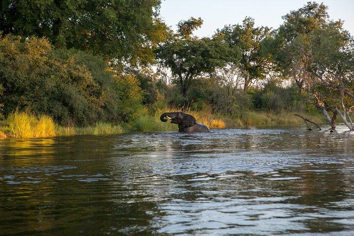 Sambesi Sunset Cruise – Wildtiere, Getränke und atemberaubende Ausblicke