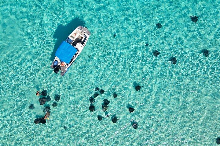 Solopgang ved Stingray City, privat tur
