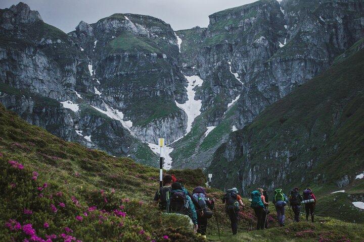 Caminhada privada ao Parque Natural Bucegi de Brasov