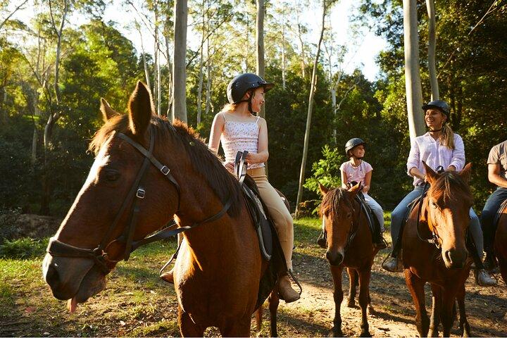Equitazione, koala e canguri - Wild Australia: tour privato