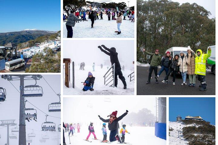 Visite guidée d'une journée du mont Buller