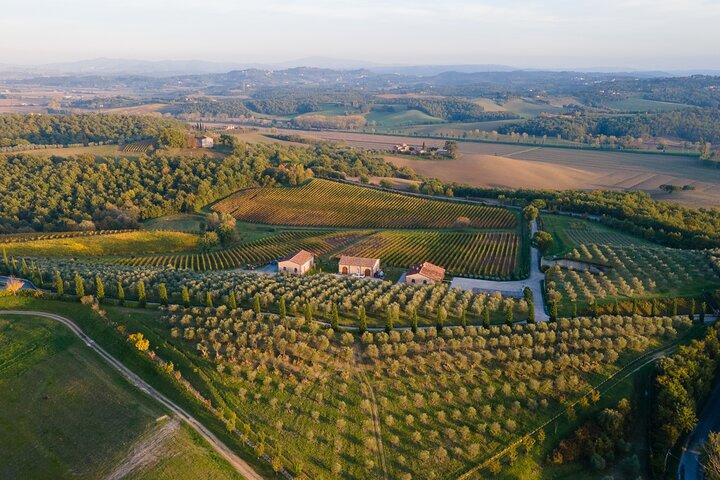 Visita de 2 horas e degustação de vinhos com degustações em Val D'Orcia