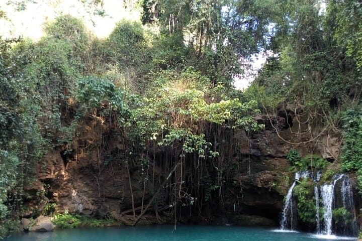 Ngare Ndare Day Trip - Nanyuki