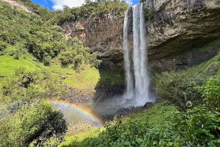 Privater Premium-Transfer von Porto Alegre nach Gramado oder Canela