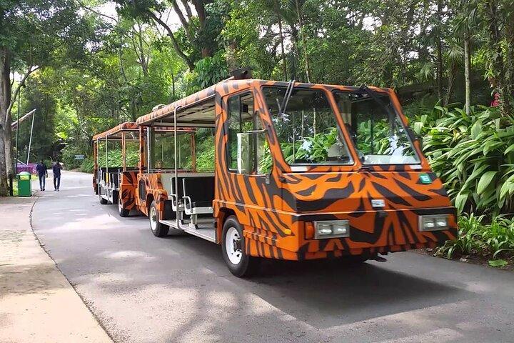 Zoo de Singapour avec balade en tramway pour touristes