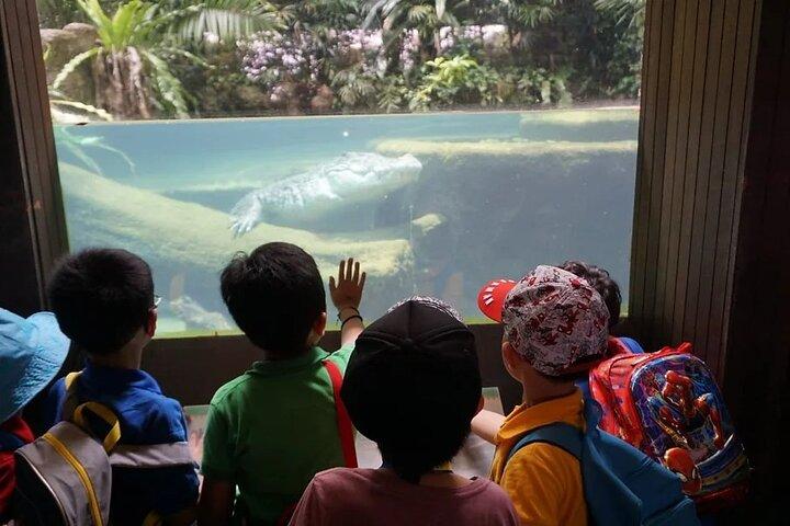 Zoo de Singapour avec balade en tramway pour touristes