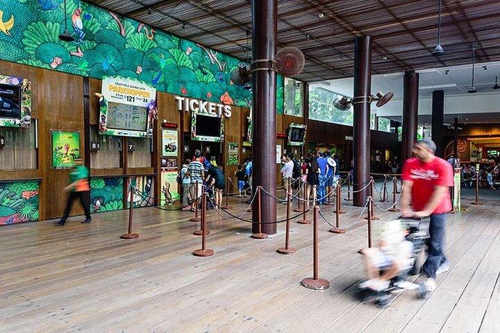 Zoo de Singapour avec balade en tramway pour touristes
