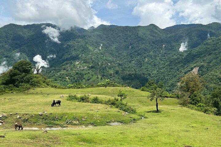 Dumaguete Tours in Inglese | Tour privati e flessibili di un'intera giornata