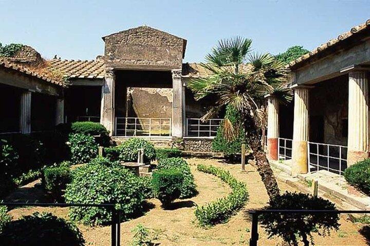 Pompei Private Tour With An Expert Archaeologist Guide