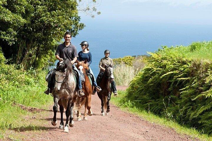 Lusitano Trail - Passeios a cavalo para iniciantes