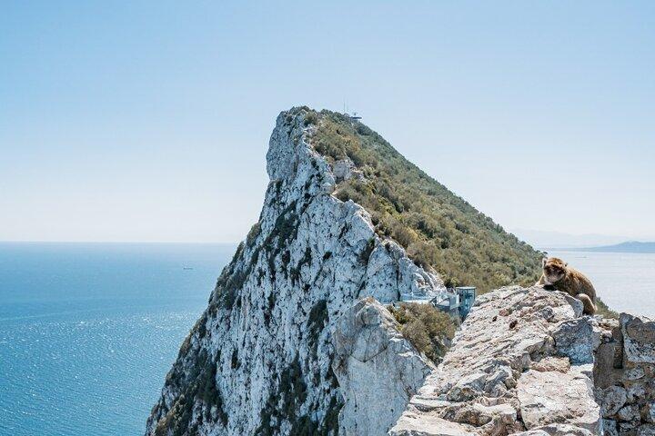 De Málaga, excursão a Gibraltar com transporte