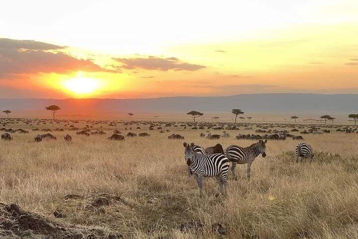 Tour Safari di 4 giorni Masaai Mara e Lago Nakuru.