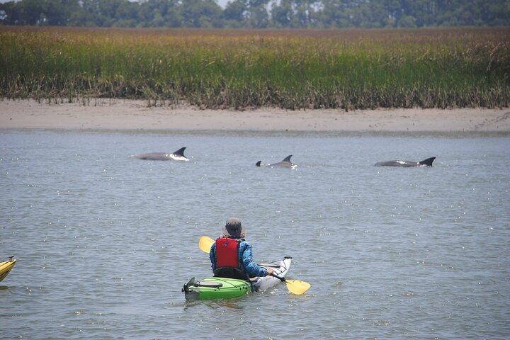 2 - Geführte Kayak Eco Tour in Charleston