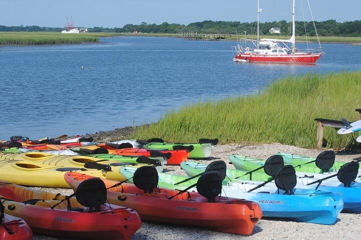 2 - Geführte Kayak Eco Tour in Charleston