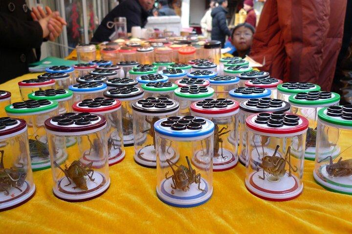 Tour privato al mercato antico di Panjiayuan, 798 Art District e altro