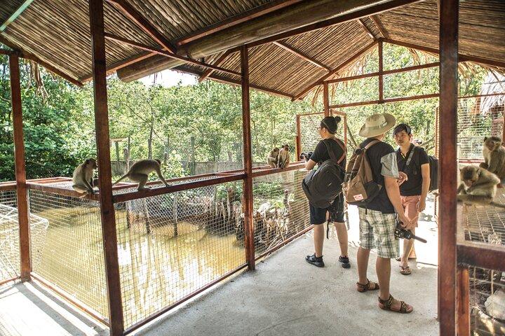 Excursão para grupos pequenos para Can Gio Vam Sat Mangrove Forest