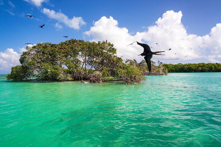 Heldagstur til Isla Holbox og Isla Pasión med Cenote