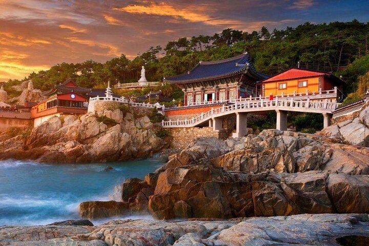 Highlights di Busan di un'intera giornata Tour guidato privato