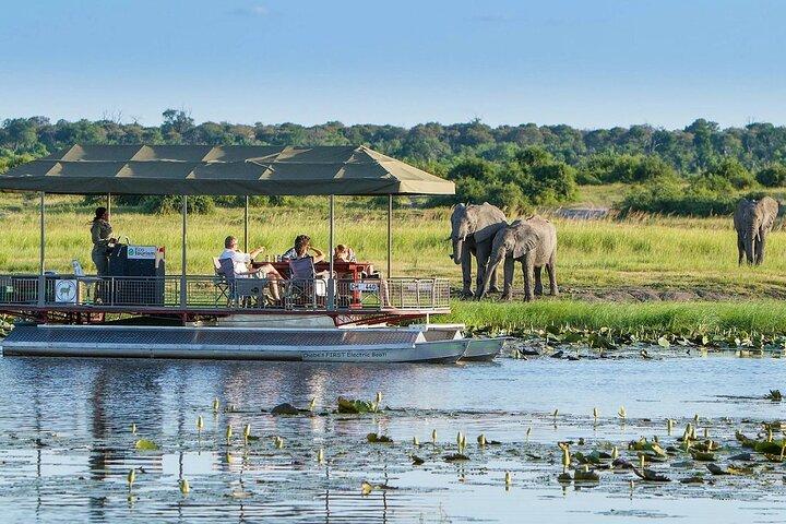 Tour privato di un'intera giornata a Chobe