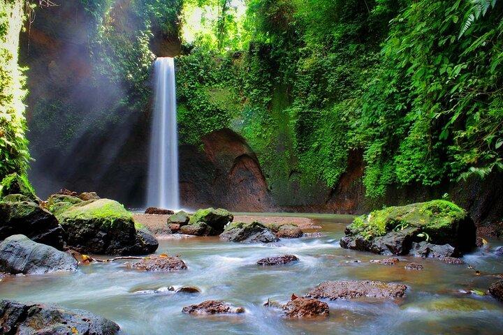 Tour privado a la cascada de Tibumana, terrazas de arroz y Jungle Swing