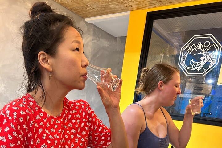 Traditional Soju Class and Makgeolli Tasting in Seoul