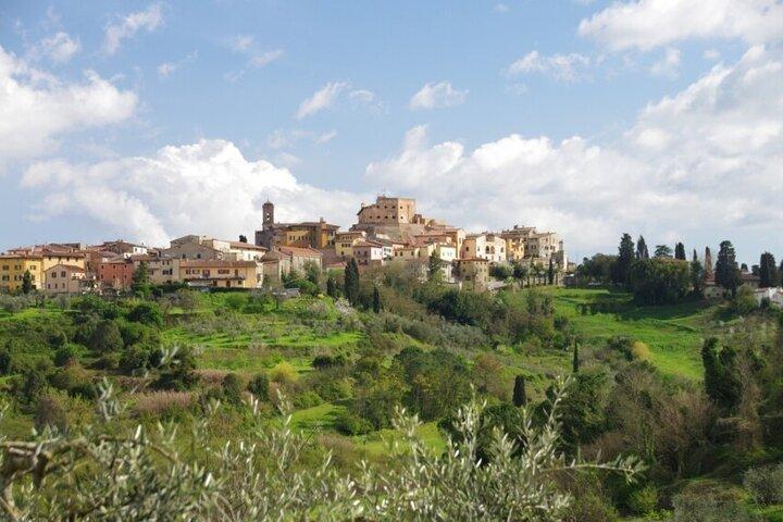 Tour guidato privato a Pisa e all'Azienda vinicola locale dal porto di Livorno