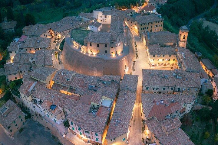 Tour guidato privato a Pisa e all'Azienda vinicola locale dal porto di Livorno