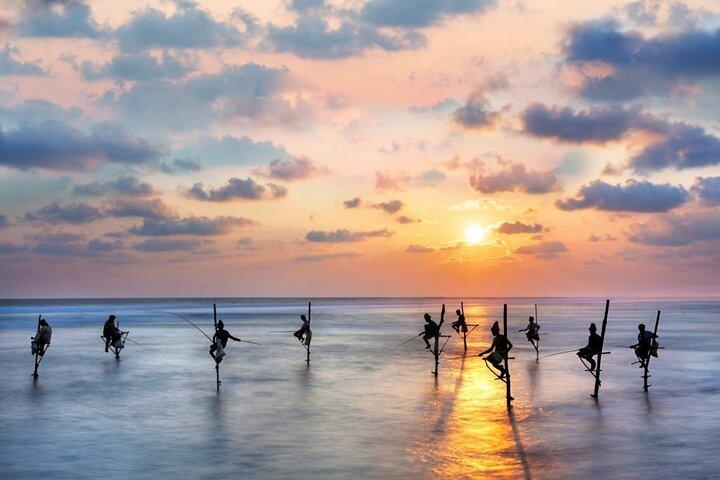 Private 8 Day Colombo Tour with Guide and Private Transportation