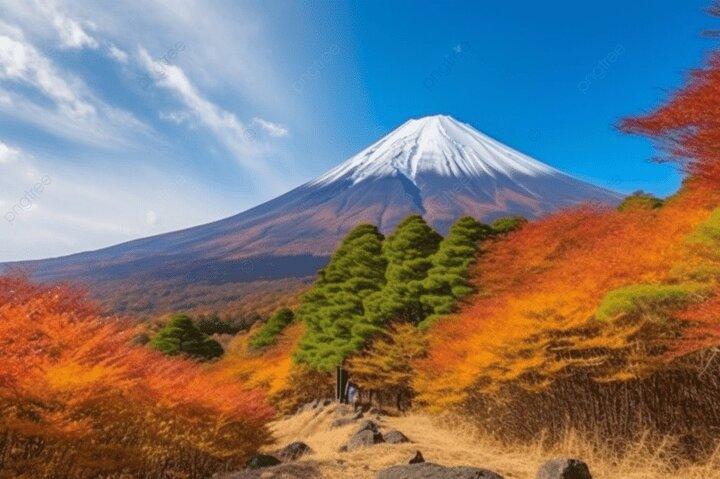 日本人ネイティブドライバーによる富士山プライベートツアー