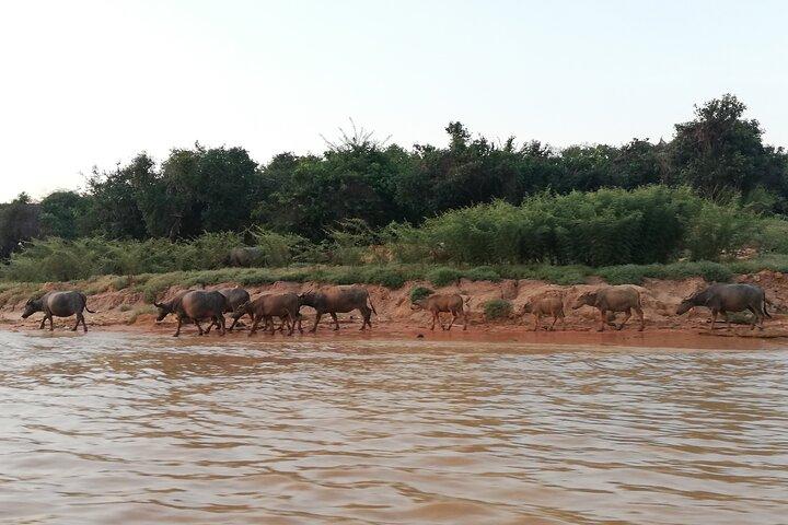 Tour a la aldea de Kompong Phluk desde Siem Reap Town